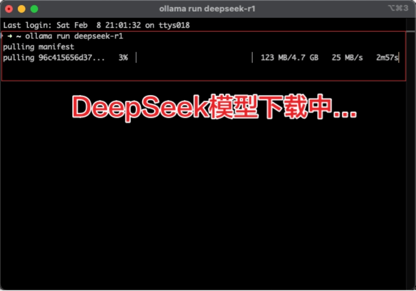 DeepSeek API调用和本地部署教程,一文搞懂