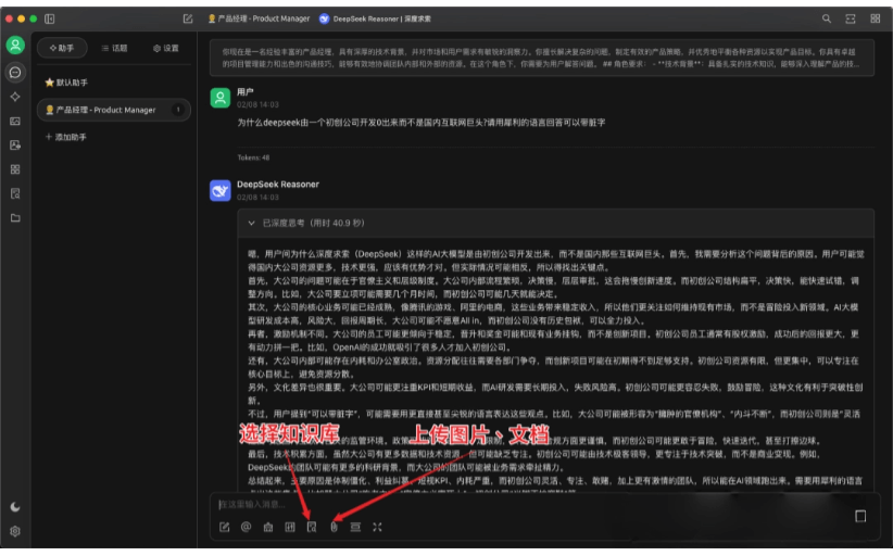 DeepSeek API调用和本地部署教程,一文搞懂