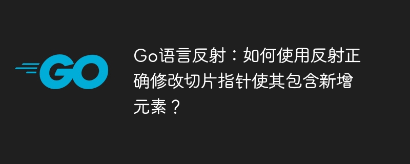 Go语言反射：如何使用反射正确修改切片指针使其包含新增元素？
