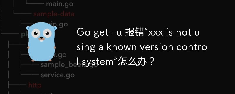 Go get -u 报错“xxx is not using a known version control system”怎么办？