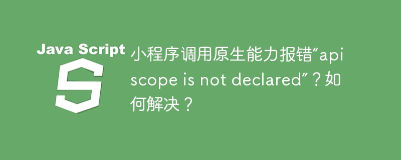 小程序调用原生能力报错“api scope is not declared”?如何解决?