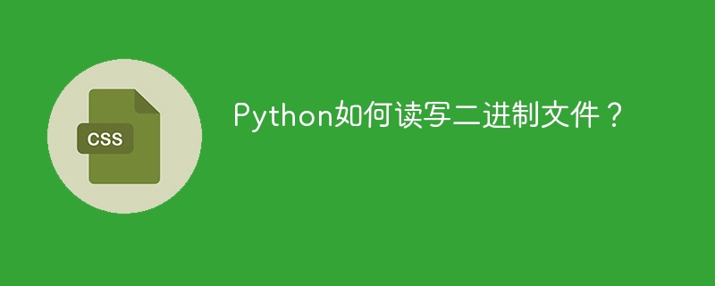 Python如何读写二进制文件？