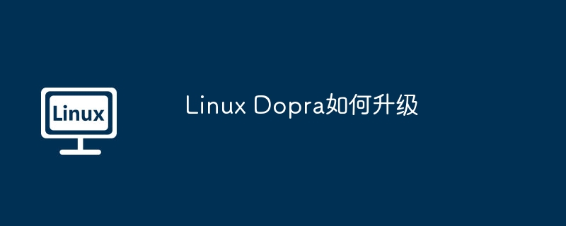 Linux Dopra如何升级