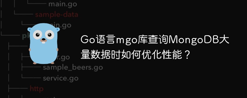 Gomgo库MongoDB性能优化