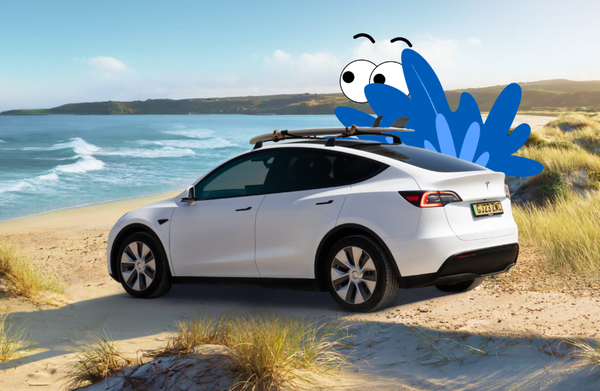 2025年1月SUV销量排名公布:星越L Model Y居前二