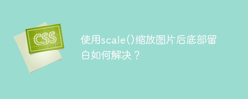 Scale缩放图片底部留白问题