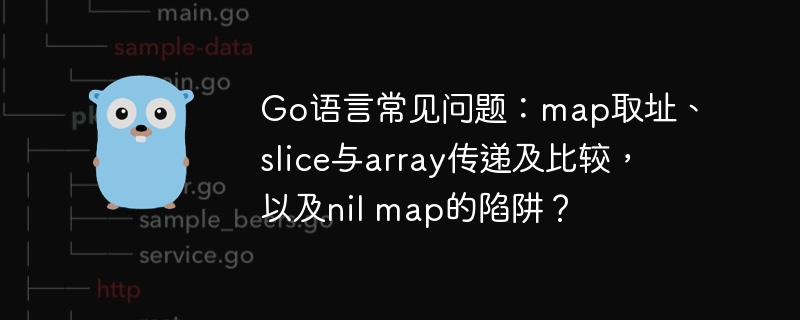 Go语言常见问题：map取址、slice与array传递及比较，以及nil map的陷阱？