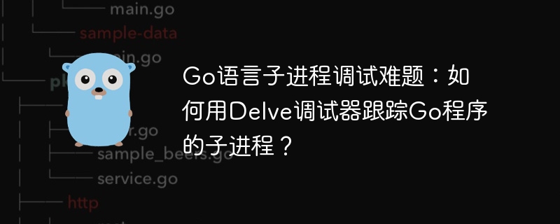Go子进程调试：Delve神器助你排查
