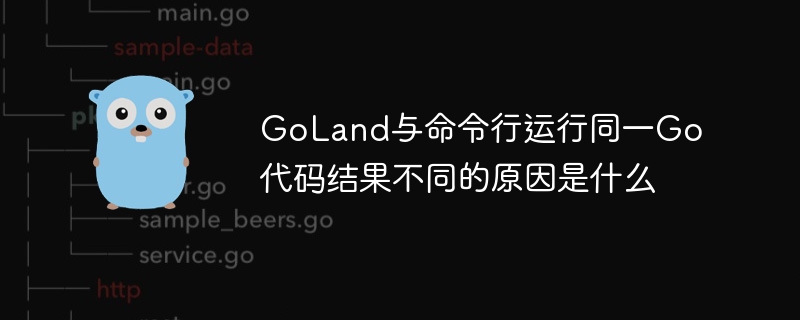 GoLand与命令行Go代码运行差异