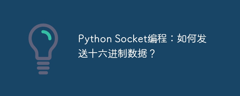 Python十六进制Socket数据发送