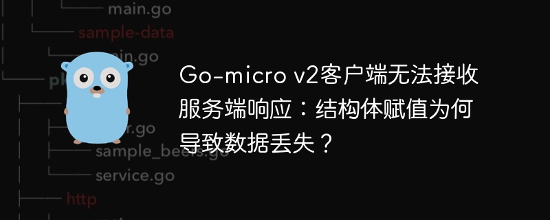 Go-microv2客户端数据丢失原因分析