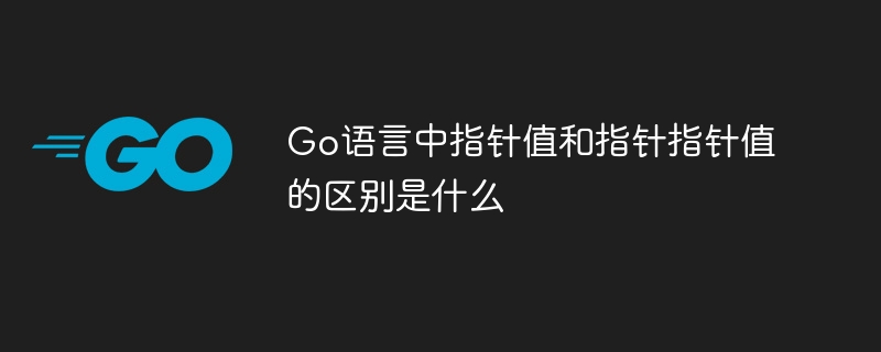 Go指针：值与指针指针的差异