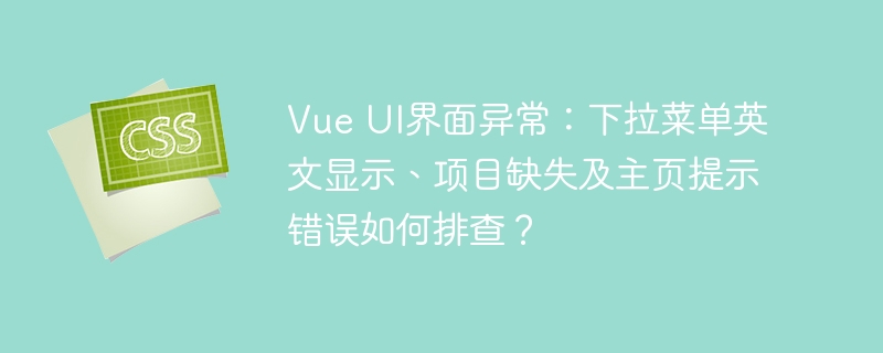 VueUI界面异常排查指南
