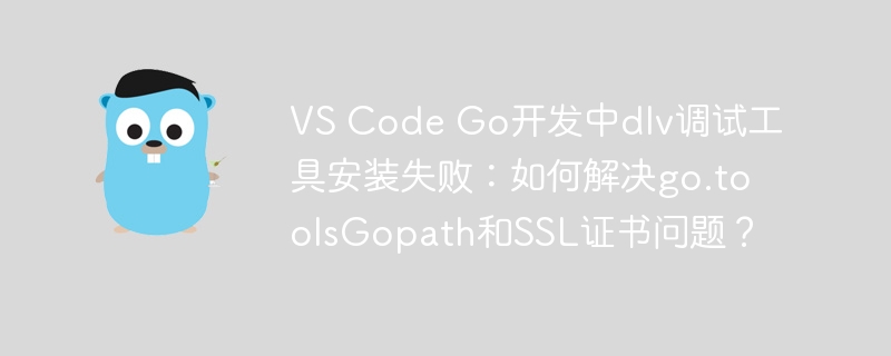 VSCodeGo调试工具安装失败？解决方法
