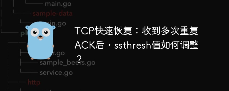 TCP快速恢复：收到多次重复ACK后，ssthresh值如何调整？