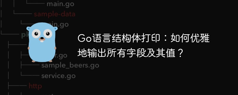 Go语言结构体优雅打印技巧