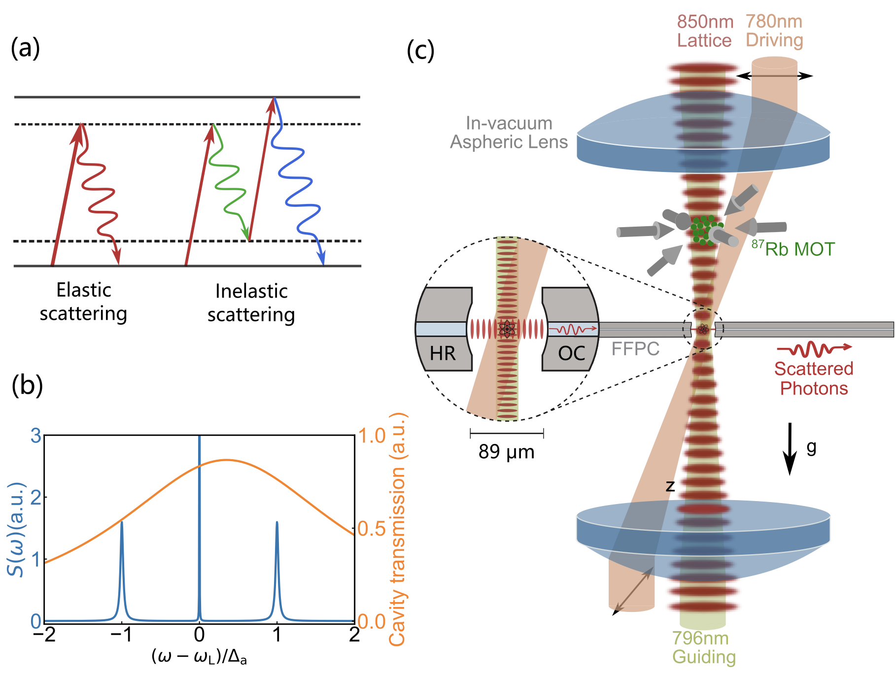 中国科大重大突破！首次观测到原子双光子纠缠