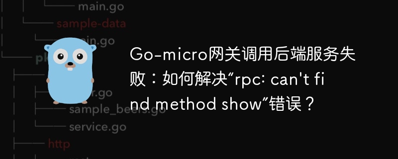 Go-micro网关报错“rpc:can'tfindmethodshow”？快速排查解决方法！