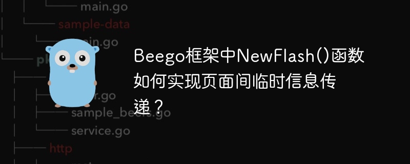 Beego框架NewFlash()函数：页面间临时数据传递详解