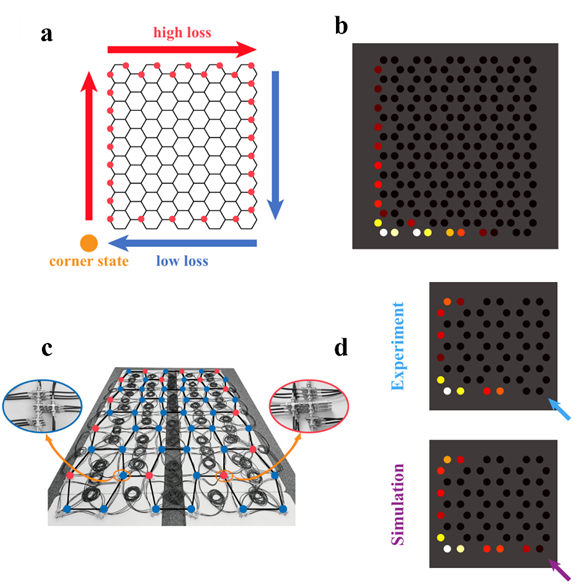 同济大学《自然·通讯》发文！非厄密物理重大突破！