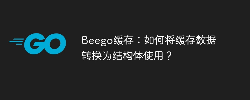 Beego缓存妙用：结构体缓存数据详解及实战