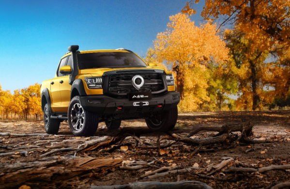 2025年1月皮卡销量暴跌8%！厂商生产仅3.68万辆