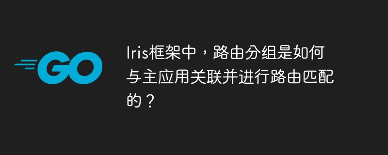 Iris框架：路由分组与主应用关联及匹配详解