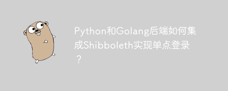 Python/Golang后端Shibboleth单点登录集成指南