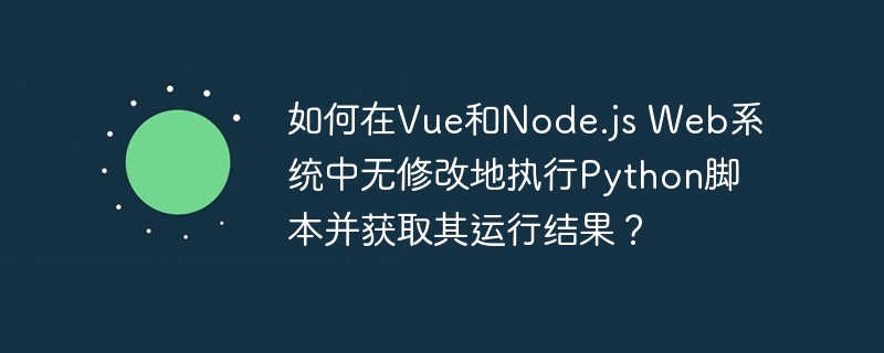 Vue/Node.js系统无缝运行Python脚本，获取结果！