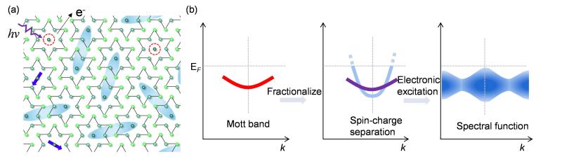 上海交大重磅发现！二维莫特绝缘体中找到量子自旋液体！