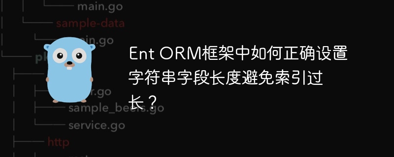 EntORM字符串字段长度设置详解：避免索引过长的方法