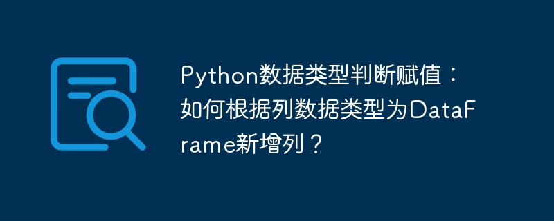 PythonDataFrame新增列：数据类型判断及赋值技巧