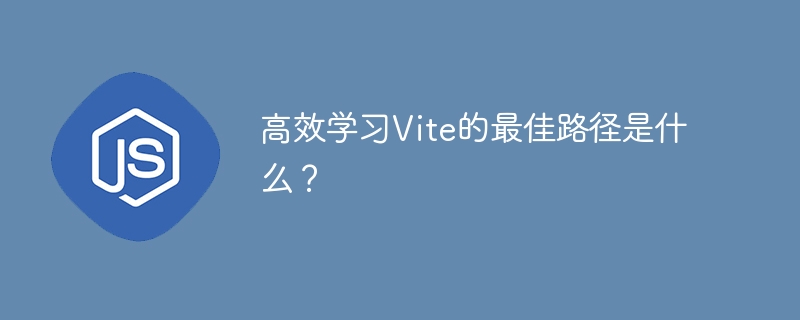 Vite高效学习指南：快速上手最佳路径