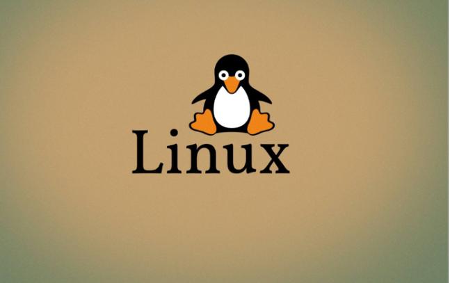 Linux系统备份与恢复：高效方案及实战技巧