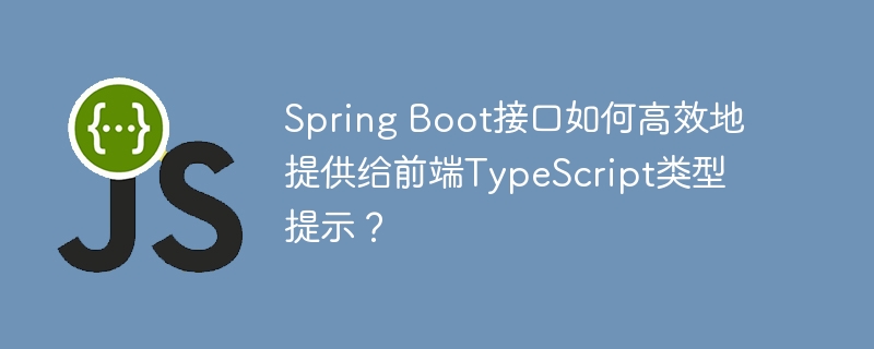 Spring Boot接口如何高效地提供给前端TypeScript类型提示？