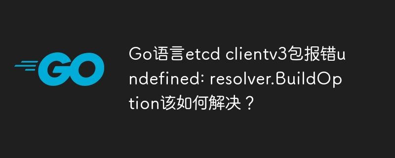 Go语言etcdclientv3报错：resolver.BuildOption终极解决方法