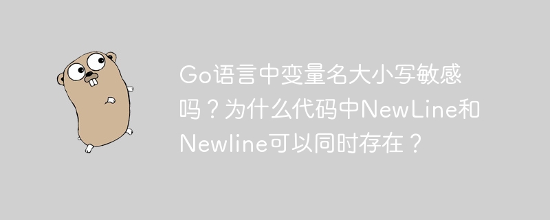 Go语言变量大小写：NewLine和newline都能用？深度揭秘