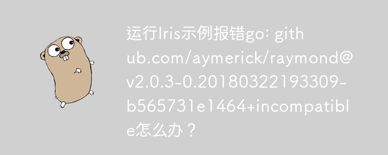 运行Iris示例报错go: github.com/aymerick/raymond@v2.0.3-0.20180322193309-b565731e1464+incompatible怎么办？