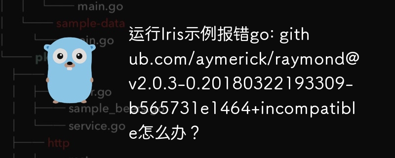运行Iris示例报错？Go语言报错解决方法(github.com/aymerick/raymond)