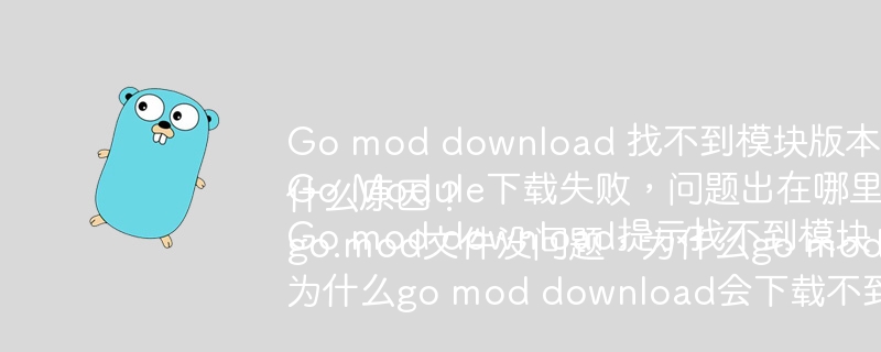 Go mod download 找不到模块版本？如何解决？
Go Module下载失败，问题出在哪里？
Go mod download提示找不到模块，什么原因？
go.mod文件没问题，为什么go mod download仍然失败？
为什么go mod download会下载不到指定的模块版本？