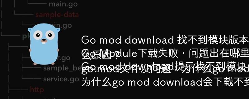 Gomod下载失败？模块版本缺失？教你轻松解决！