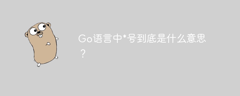 Go语言\*号详解：掌握Go语言的隐藏技巧