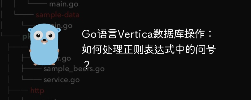 Go语言Vertica数据库：问号正则表达式难题解决指南
