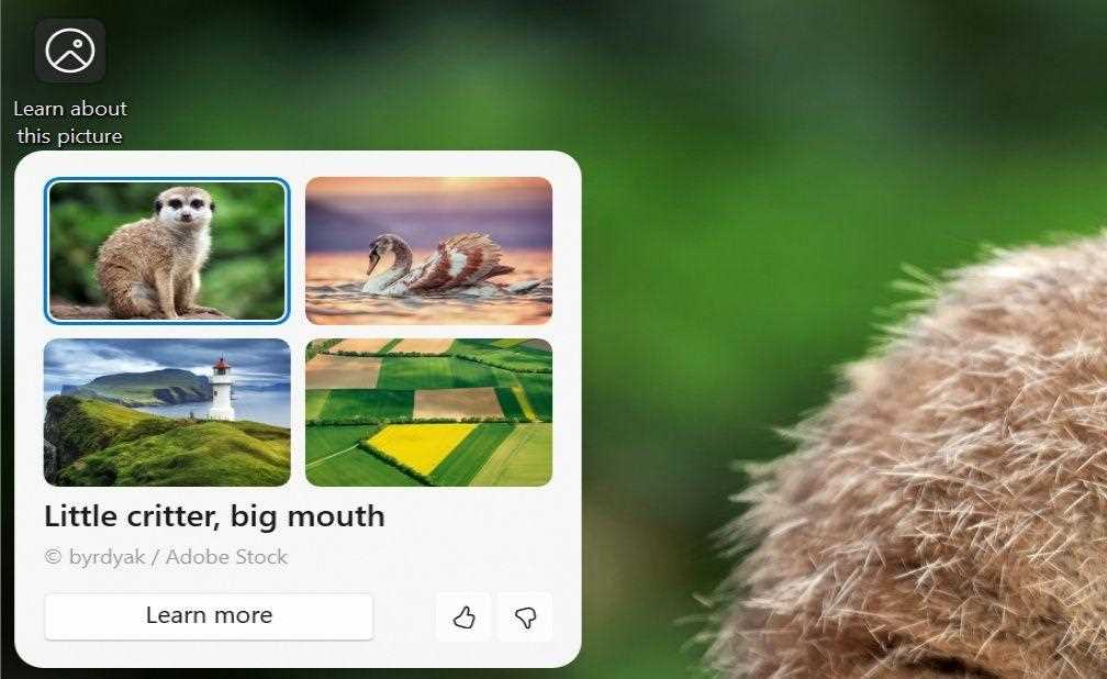 Win11壁纸AI革新！Copilot壁纸体验升级