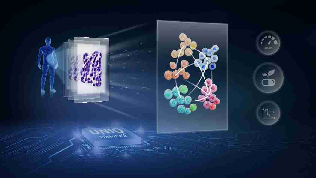 自动化系李梢课题组提出推断病理影像微观信息新算法