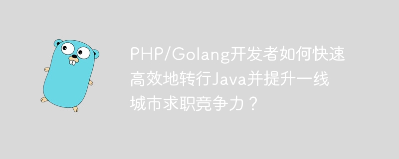 PHP/Golang开发者如何快速高效地转行Java并提升一线城市求职竞争力?