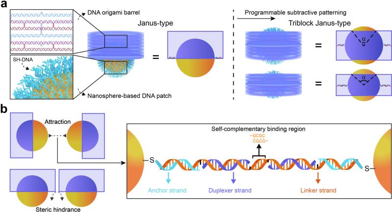 上海交大姚广保、刘小果提出纳米颗粒表面减材图案化新策略