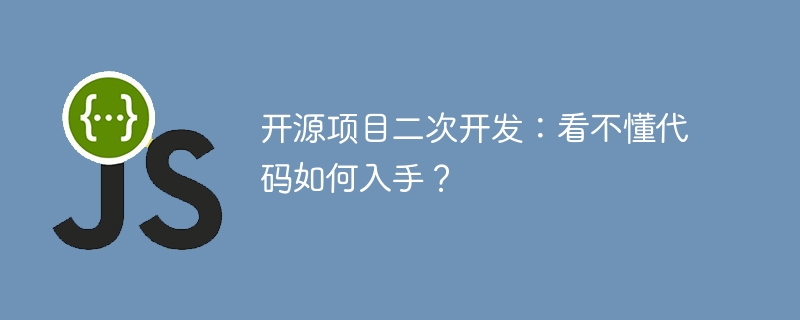 开源项目二次开发：看不懂代码如何入手？