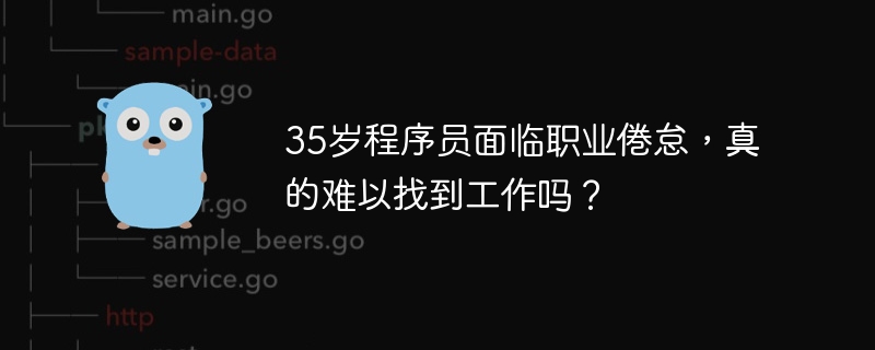 35岁程序员面临职业倦怠，真的难以找到工作吗？