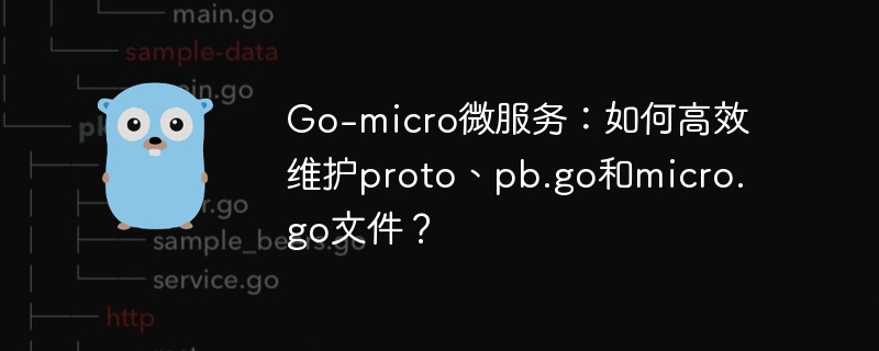 Go-micro微服务：如何高效维护proto、pb.go和micro.go文件？